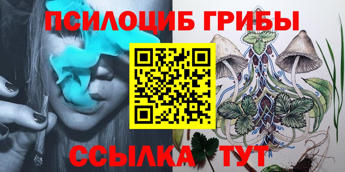 Галлюциногенные грибы прущие грибы Будённовск