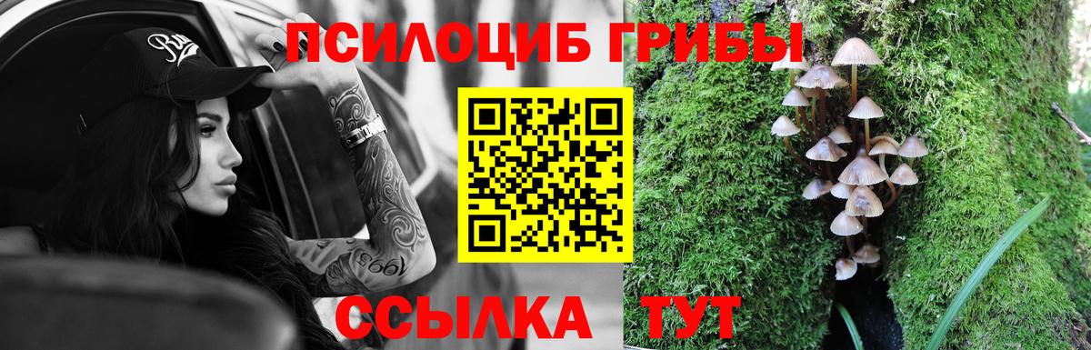 где продают   Вход с VPN  Галлюциногенные грибы мухоморы  Будённовск  Галлюциногенные грибы Psilocybe 
